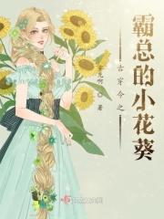 霸道总裁古代穿越妻
