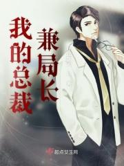 我的总裁兼局长百度百科