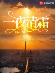 一夜清风雪满阶作者