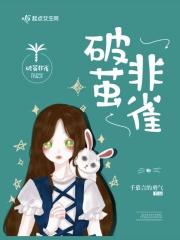 破茧 po